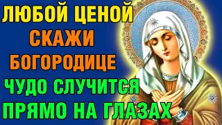 ЛЮБОЙ ЦЕНОЙ СКАЖИ БОГОРОДИЦЕ! ЧУДО СЛУЧИТСЯ НА ГЛАЗАХ! Акафист Пресвятой Богородице. Православие