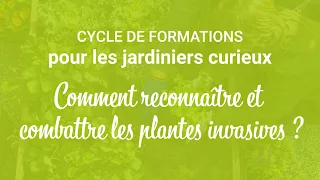 Webinaire pour les jardiniers curieux : Plantes invasives, comment les reconnaître et les combattre?