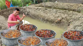 I Didn't Expect This!! Finally Releasing Thousands of fish to Our Newly Build Pond (Daily Routines)