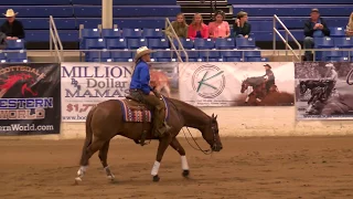 Magnum Style - Ridden by Abby Lengel - 2018 Cactus Reining Classic Open Derby