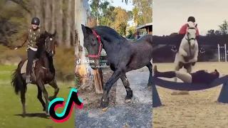 8 Minutes Of Reletable HORSE - TikTok Compilation 2022 #80