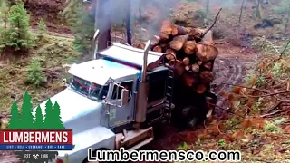 Dangerous logging truck drivers fails, crossing wooden bridges and climbing steep hills.