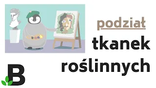 Podział Tkanek Roślinnych * Tkanki Twórcze i Stałe * Nowa Wersja - KOREPETYCJE z BIOLOGII – 373