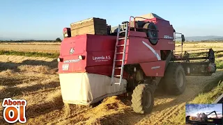 üç farklı biçerdöver izleyin kıyaslayın. TC ciler baksın özellikle