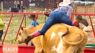 Not Every Girl is a Cowgirl 😂 | Try Not to Laugh Fails and Moments | Peachy