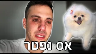 אס נפטר