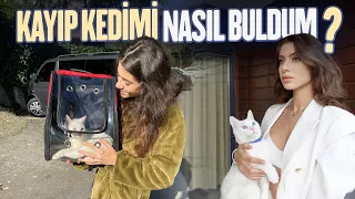 KAYIP KEDİMİ NASIL BULDUM |  KAYIP EVCİL HAYVAN BULMA YÖNTEMLERİ