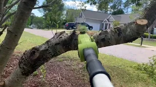 Sunjoe 24v pole saw...worth it? Skip to 1:35 for review!