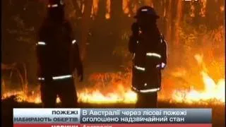 В Австралії через лісові пожежі оголошено надзвичай...