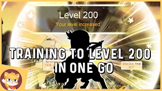 You Decided That We Train This Class to Level 200  | MapleStory | GMS Reboot