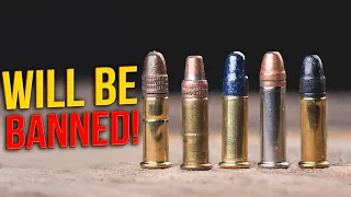 10 Most Deadly 22 Rounds for Self Defense!