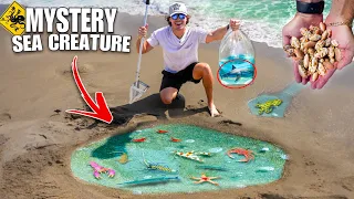 Catching SEA CREATURES LIVING IN THE SAND For My Saltwater Aquariums!