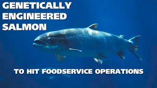 3MMI - Genetically-Engineered Salmon To Hit Foodservice Operations