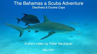 Bahamas Dive Adventure - Eleuthera & Exuma Cays