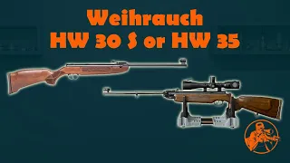 Weihrauch HW 30 S or HW 35   Which on should I get?