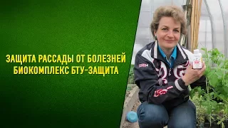 ЗАЩИТА РАССАДЫ ОТ БОЛЕЗНЕЙ / Биокомплекс БТУ защита