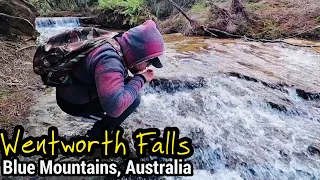 HIKING AT BLUE MOUNTAINS AUSTRALIA | WENTWORTH FALLS