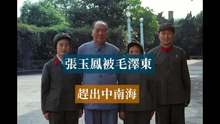 毛澤東把張玉鳳趕出中南海|Mao Zedong#歷史的迴響#毛澤東歷史
