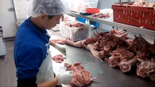 Rabbit Farming And Harvest Technology Rabbit Meat Processing In Factory