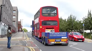 London Bus variety in 2015
