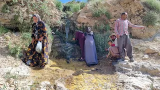 Picking herbal medicines in the mountains by a nomadic family: Nomadic lifestyle in Iran