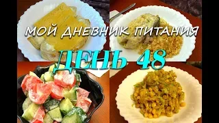 Похудела на 35 кг Мой Дневник питания 01 06 19 День 48 или Что же я ЕМ и Худею