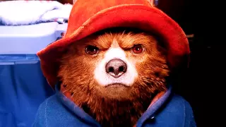 Paddington - Hard Stare