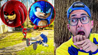 ENCONTREI O GEMEO DO MAL DO KNUCKLES LUTANDO COM O SONIC NA VIDA REAL ! OS PANDAS