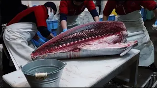 豊洲４大マグロ仲卸『石司』〜Japanese cutting skills of giant bluefin tuna〜　「マグロ（TUNA）」へかける熱い想い！