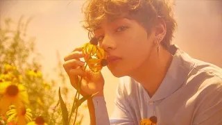 Kim Taehyung "LOVE YOURSELF" (Individual Story)Highlight Reel#Bts #V