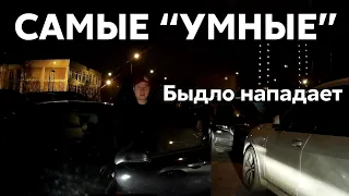 Подборка САМЫХ "УМНЫХ" водителей #604