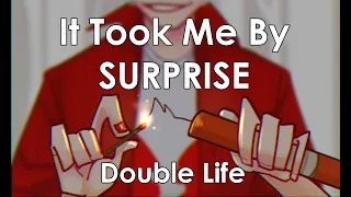 It Took Me By Surprise | Double Life SMP animatic