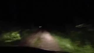 Driving an old dirt road winding through the woods in New England at night.