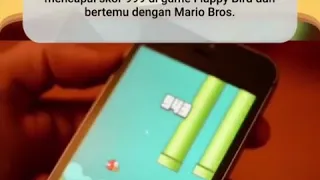 Flappy bird Found Mario Bros (Last Boss!!)