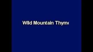 Wild Mountain Thyme, Karaoke video with lyrics, Instrumental version