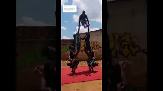 Bwengula Circus Kids | Jerusalema challenge | Masterkg ft Nomcebo | #shorts #tiktok #jerusalema