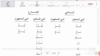 Мединский курс 3 том 5 урок ( Muhammad Abu Isa )