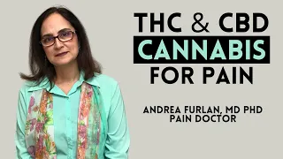 Cannabinoids and Cannabis by Dr. Andre Furlan MD PhD