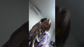 Самое лучшее видео с котиком😱