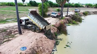 Wow!! Super Dumping Skills Filling Up New Place Hino Fuso Hyundai Dump Truck Dozer D60P