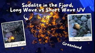 1000's of Glowing #minerals, it's Sodalite in Greenland. Longwave vs Shortwave UV light. #