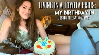 LIVING in a PRIUS: I’ve been WAITING for this moment my WHOLE LIFE! + Joshua Tree National Park