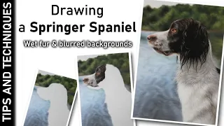 HOW TO DRAW WET FUR & DISTANT TREES IN PASTELS | DRAWING A SPRINGER SPANIEL IN PASTELS