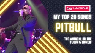 My Top 20 Pitbull Songs Of All Time