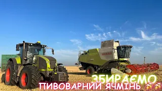 Збираємо ячмінь‼️Ох і не легка то справа 😰😰