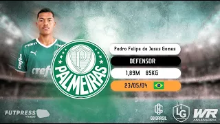 Pedro Felipe - Zagueiro/ Defensor - 2023