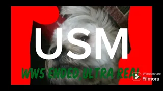 USM EAS alarm (WW5 Ended,ultra real)