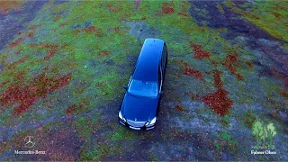 Video: Mercedes Rustvogn
