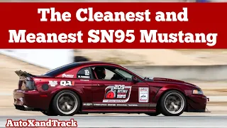 Ultimate SN95 Mustang Autocross and Track Streetcar! - In The Paddock Ep. 16