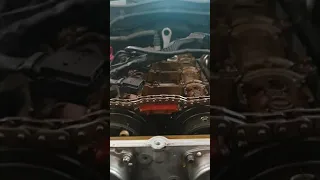 Mercedes-Benz M271 Timing Chain after 130,000km